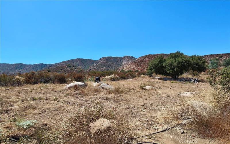 View of the hills from the back of the property.