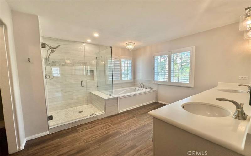 Upgraded Primary bathroom with walk-in shower