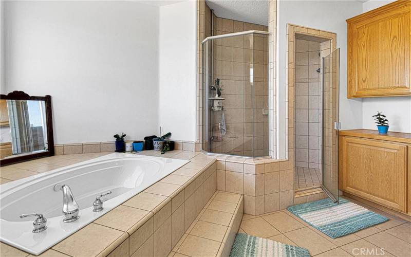 Large separate shower beside the spa deck soaking tub.