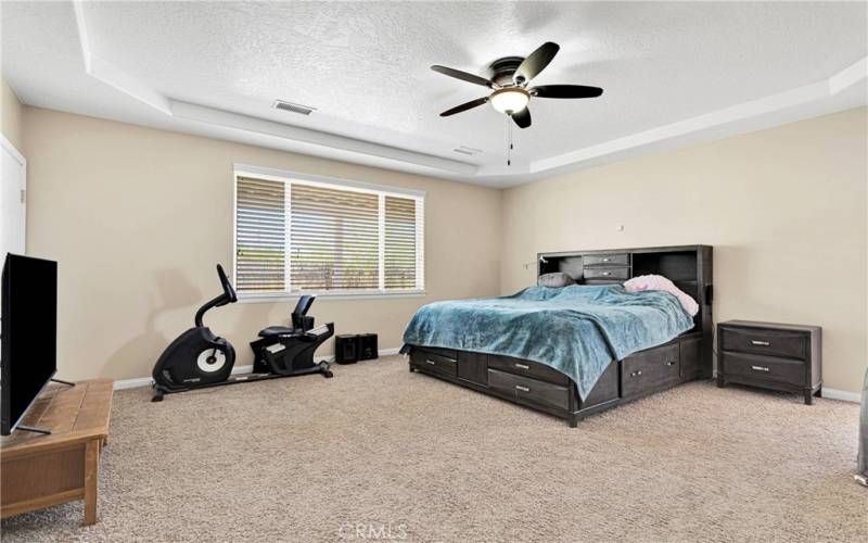 Large primary bedroom suite has door to full span patio. Note the ceiling detail.