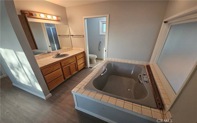 Master Bedroom two person bathtub