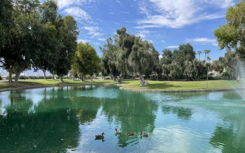 Community views of Golf Course Pond