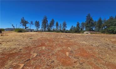 6224 Stinson Lane, Paradise, California 95969, ,Land,Buy,6224 Stinson Lane,SN24181239