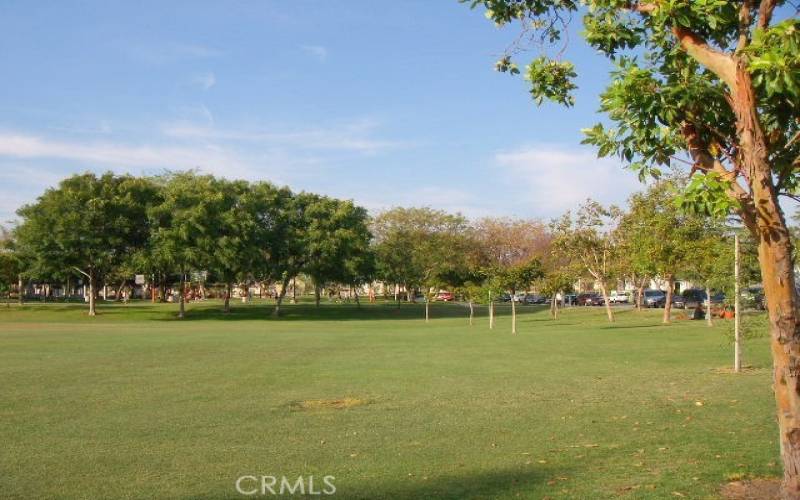 Park across the street from the entry to this tract.