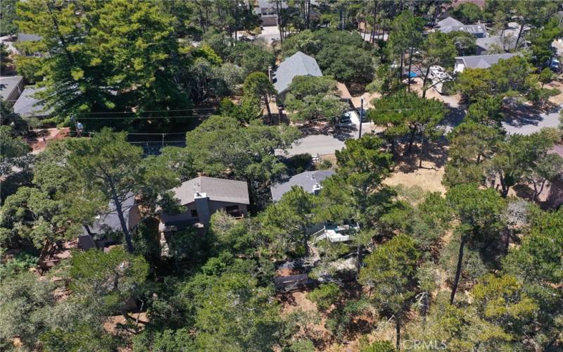 Drone shot of neighborhood.