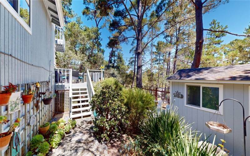 Looking at steos down to beautifully landscaped yard. Shed to right.