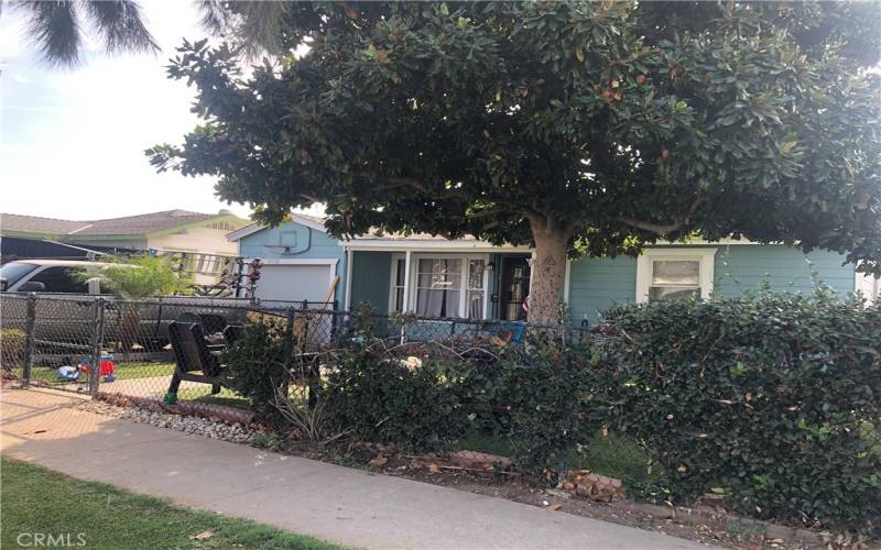 Yard with Shade tree front housed