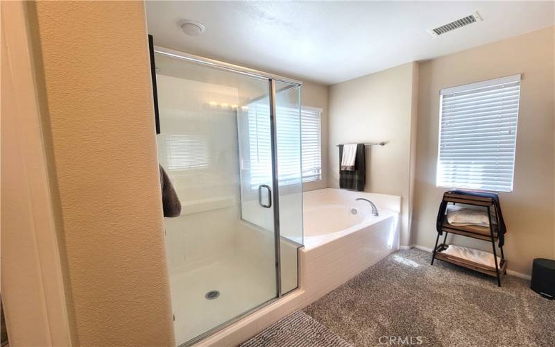 SHOWER AND SOAKING TUB PRIMARY BATHROOM