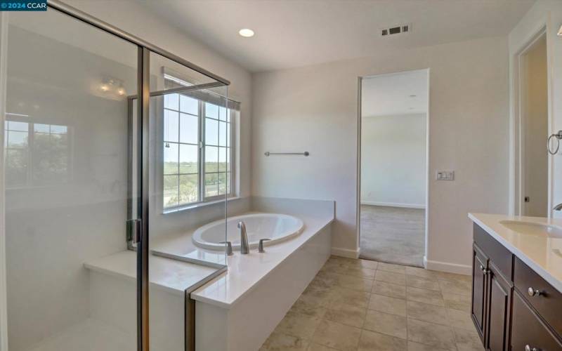 Master Bathroom Tub & Shower