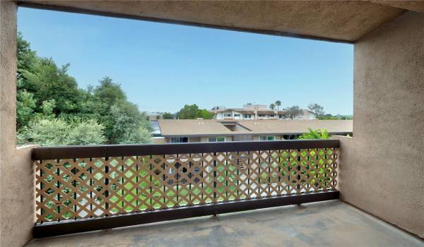 Tree top patio view