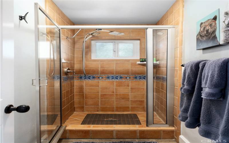 Walk-in shower