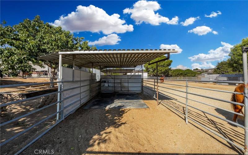 Horse stalls (12’ x 24’)