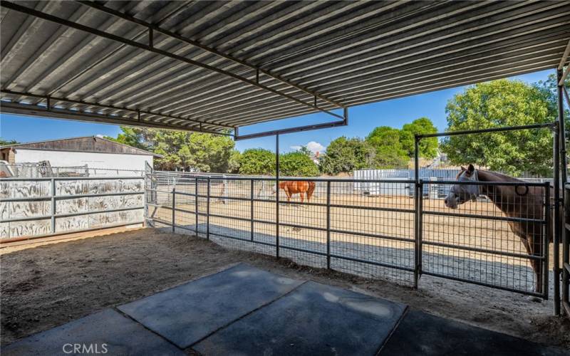 Horse stalls (12’ x 24’)