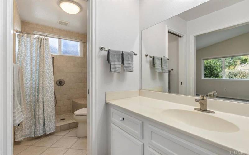 Master Bath Area