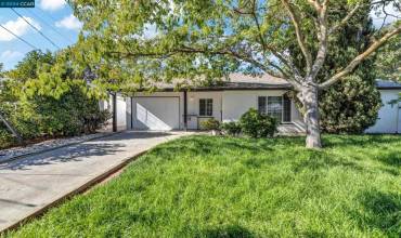 1162 Francine Ct, Concord, California 94518, 3 Bedrooms Bedrooms, ,1 BathroomBathrooms,Residential,Buy,1162 Francine Ct,41071729