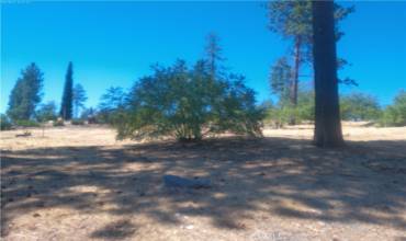 6323 Forest Lane, Paradise, California 95969, ,Land,Buy,6323 Forest Lane,PA24181639