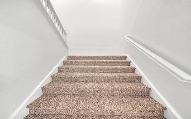 Stairs with Brand New Carpeting