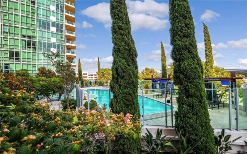 Overlooking the pool