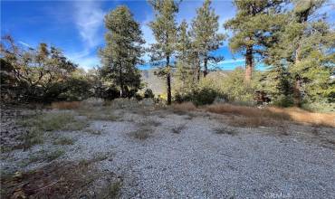 1825 Bernina Drive, Pine Mountain Club, California 93222, ,Land,Buy,1825 Bernina Drive,SR24181659