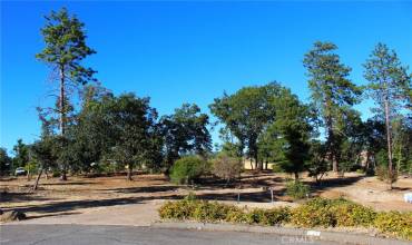 527 Nottingham, Paradise, California 95969, ,Land,Buy,527 Nottingham,PA24182137