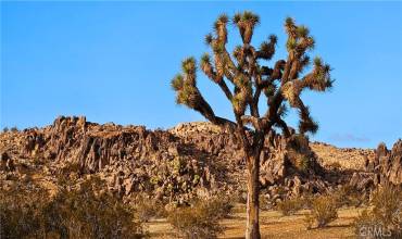 803 Pineridge Road, Adelanto, California 92301, ,Land,Buy,803 Pineridge Road,HD24182168