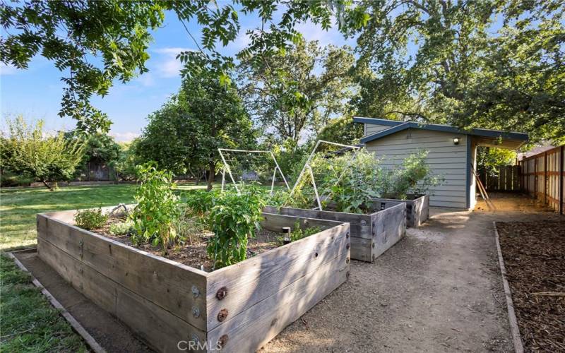 Raised beds,