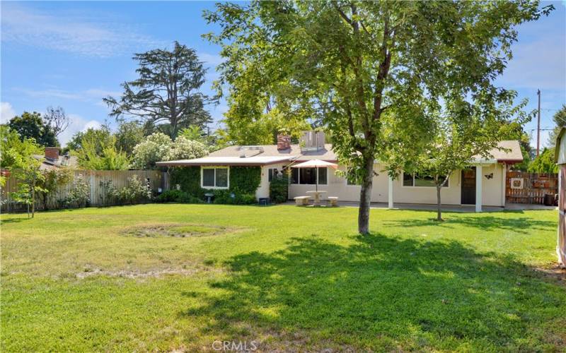 Big, beautiful backyard with expansive green lawn, a covered patio, two storage sheds, shade trees, roses, and lots of greenery for a relaxing, private space to entertain or just enjoy.