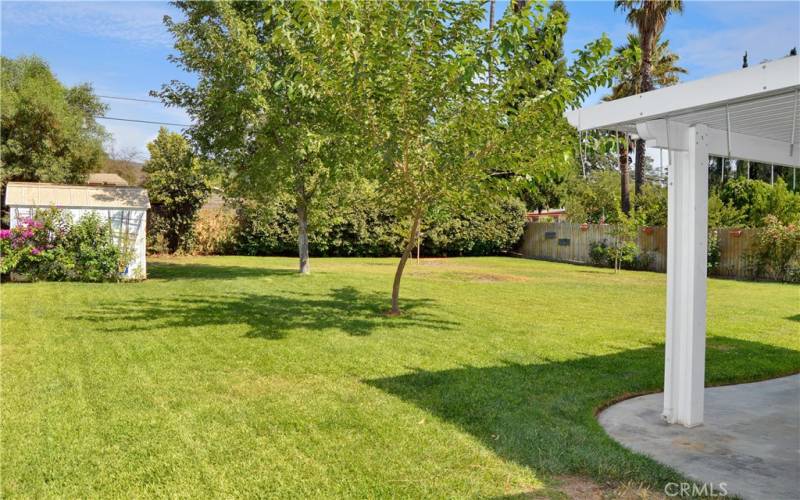 Big, beautiful backyard with expansive green lawn, a covered patio, two storage sheds, shade trees, roses, and lots of greenery for a relaxing, private space to entertain or just enjoy.