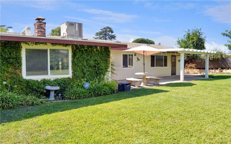 Big, beautiful backyard with expansive green lawn, a covered patio, two storage sheds, shade trees, roses, and lots of greenery for a relaxing, private space to entertain or just enjoy.