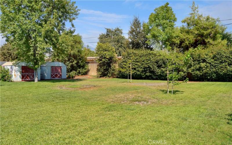 Big, beautiful backyard with expansive green lawn, a covered patio, two storage sheds, shade trees, roses, and lots of greenery for a relaxing, private space to entertain or just enjoy.