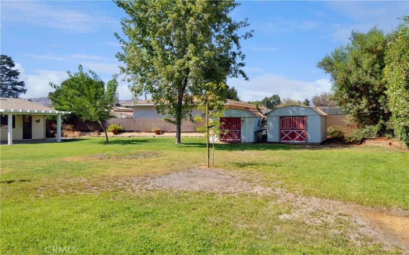 Big, beautiful backyard with expansive green lawn, a covered patio, two storage sheds, shade trees, roses, and lots of greenery for a relaxing, private space to entertain or just enjoy.