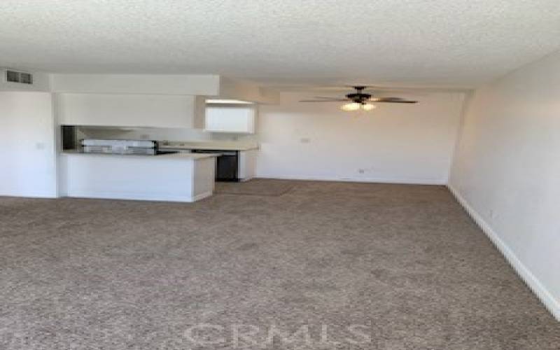 Dining area and kitchen.