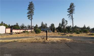 668 Memorial Way, Paradise, California 95969, ,Land,Buy,668 Memorial Way,SN24182276