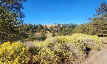 16851 Interlaken Street, Tehachapi, California 93561, ,Land,Buy,16851 Interlaken Street,PI24117644