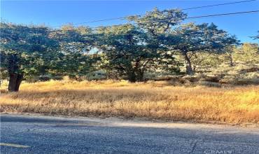 0 Alps Drive, California 93561, ,Land,Buy,0 Alps Drive,PI24182396