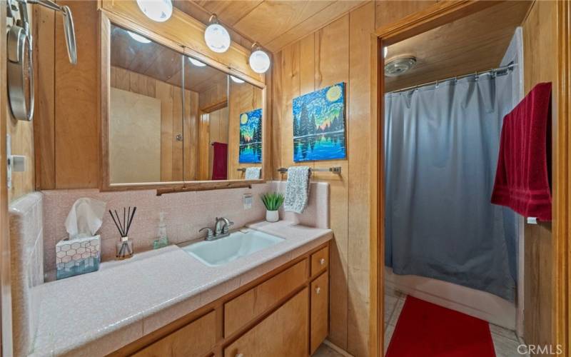 Main floor bathroom