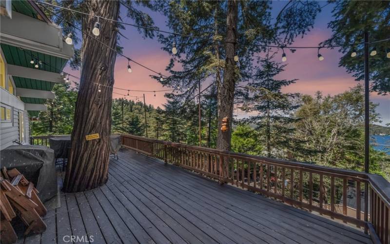 Back deck off livingroom