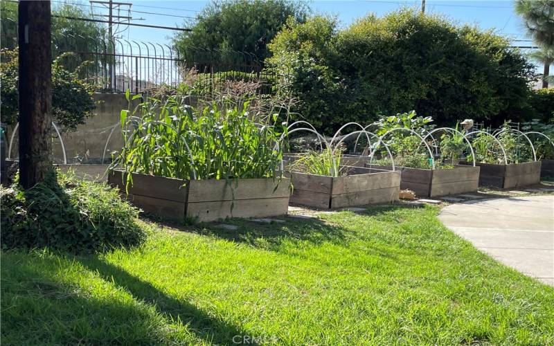 Community Fruit and Vegetable Gardens