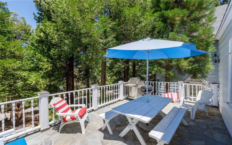 Patio loverlooks the yard and fire pit.