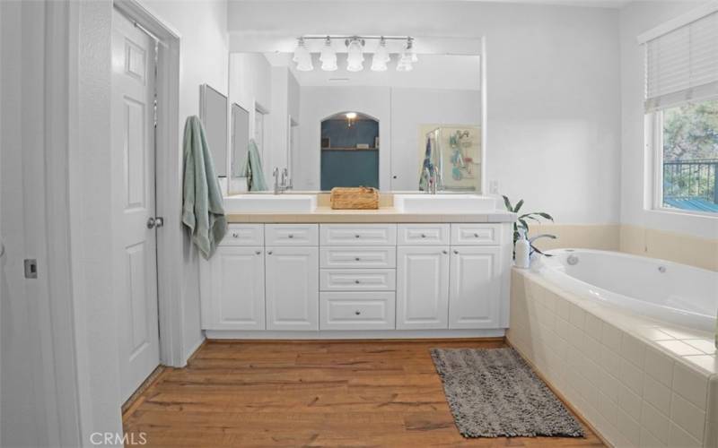 Master Bathroom with walk in closet to the left