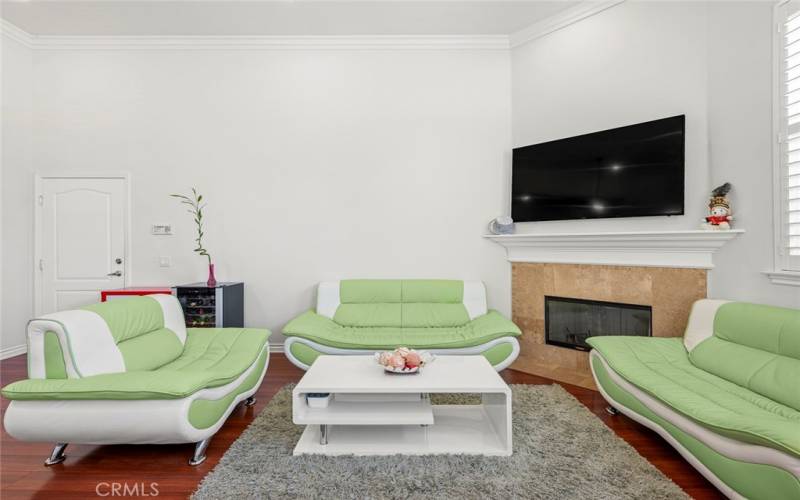 Living room with fireplace