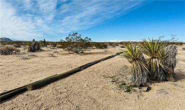 1234 Desert Lily Street, Joshua Tree, California 92252, ,Land,Buy,1234 Desert Lily Street,JT24182915