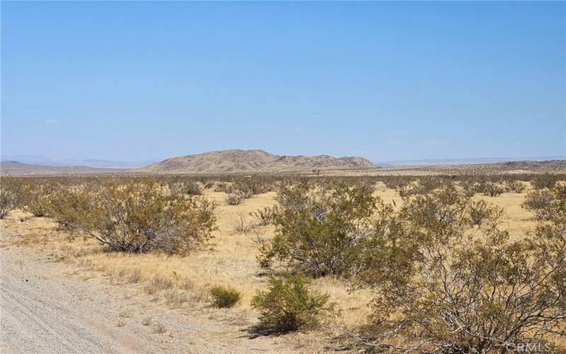 View of the property from the northeast corner along Wild Wash Road.