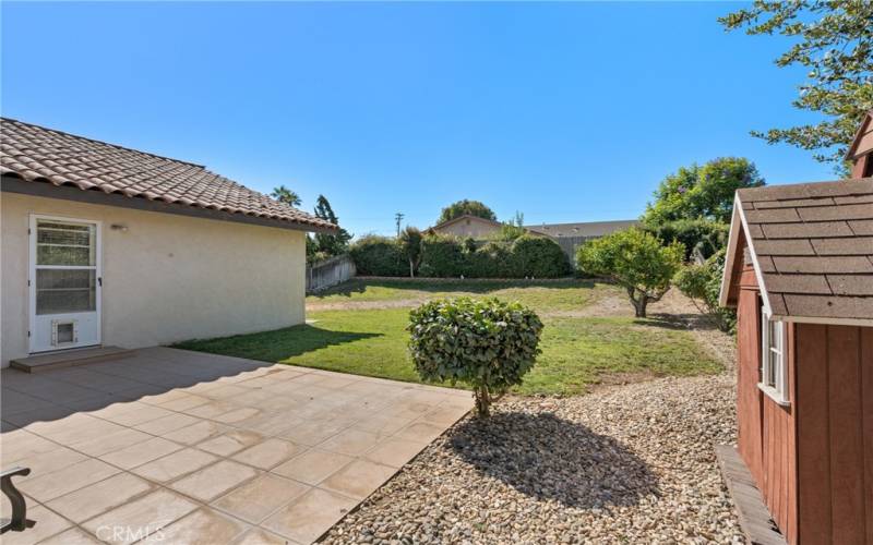 Back Yard & Patio