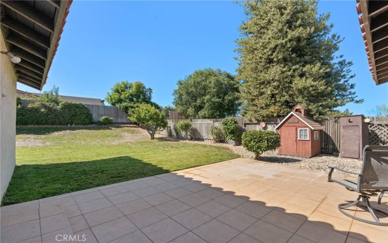 Back Yard & Patio