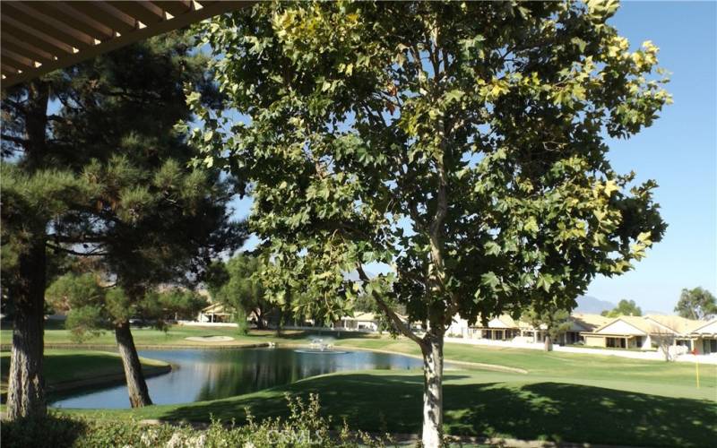 Pond View from backyard