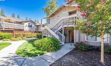 3841 Crow Canyon Rd, San Ramon, California 94582, 2 Bedrooms Bedrooms, ,2 BathroomsBathrooms,Residential,Buy,3841 Crow Canyon Rd,41070947