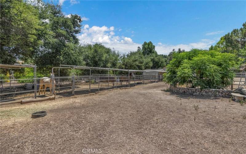 Horse Stalls