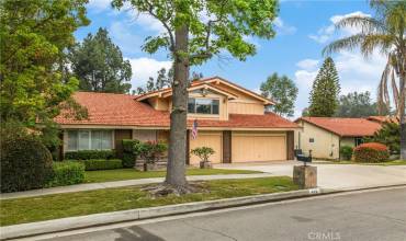 426 Iris Street, Redlands, California 92373, 5 Bedrooms Bedrooms, ,3 BathroomsBathrooms,Residential,Buy,426 Iris Street,EV24100933