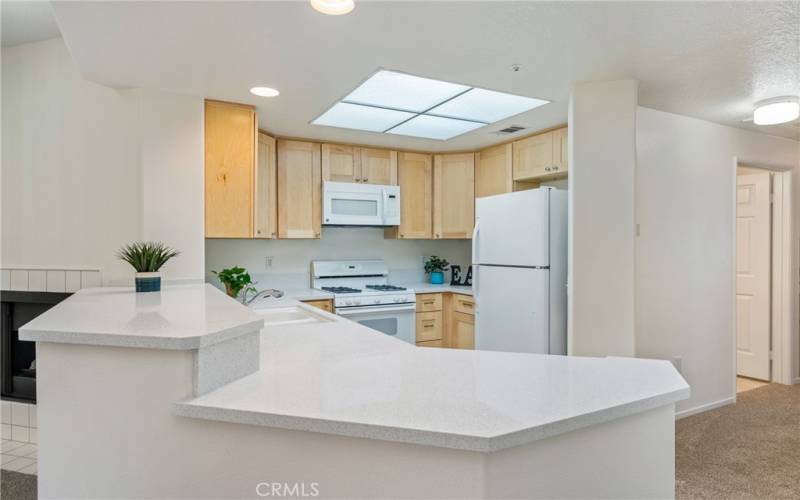 New Cabinets and Quartz Counter Tops